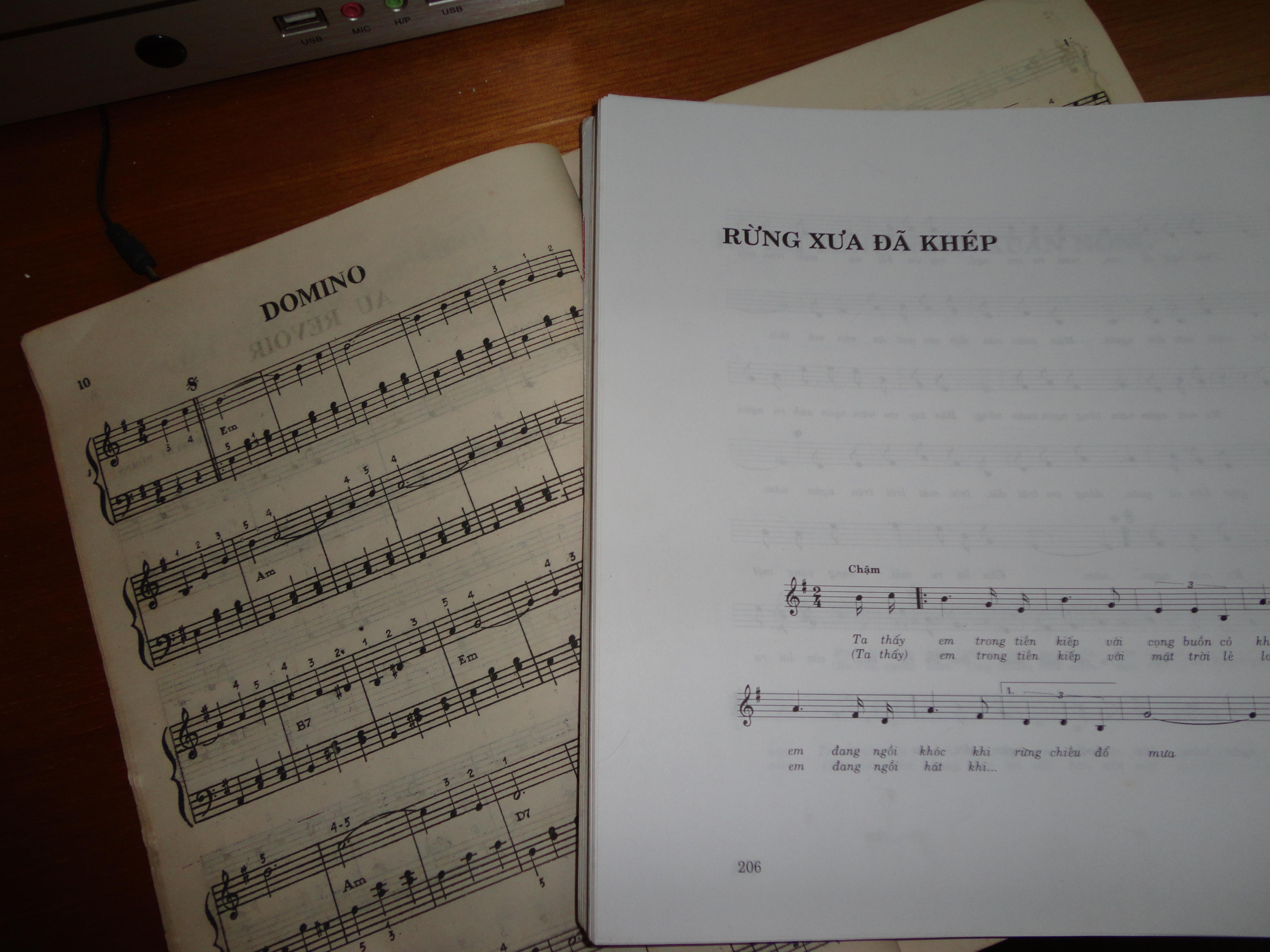 Trương Thái Du's Blog