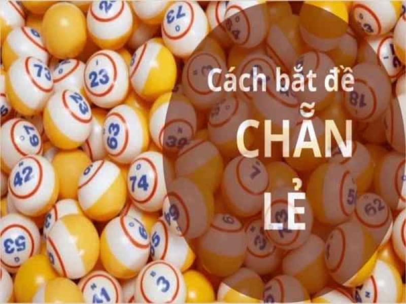 Dàn đề chẵn lẻ: Có bao nhiêu con, bắt như thế nào?