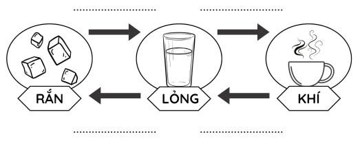 Đề cương ôn thi học kì 1 môn Khoa học lớp 4 năm 2024 - 2025 (Sách mới)                               Ôn tập học kì 1 môn Khoa học 4 KNTT, CTST, Cánh diều