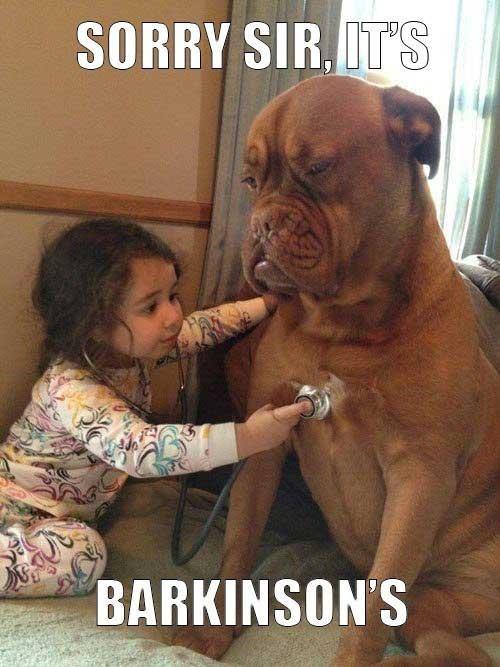 Thư gửi Chị - Một người mẹ có con học dốt