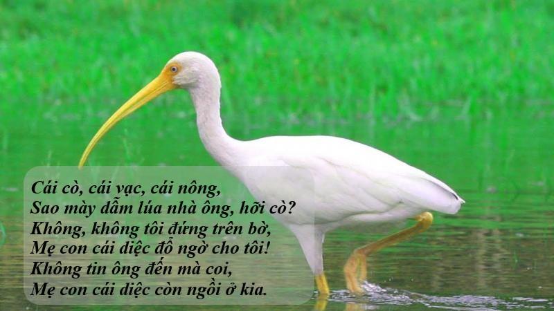 Phân tích ý nghĩa bài cái cò, cái vạc, cái nông