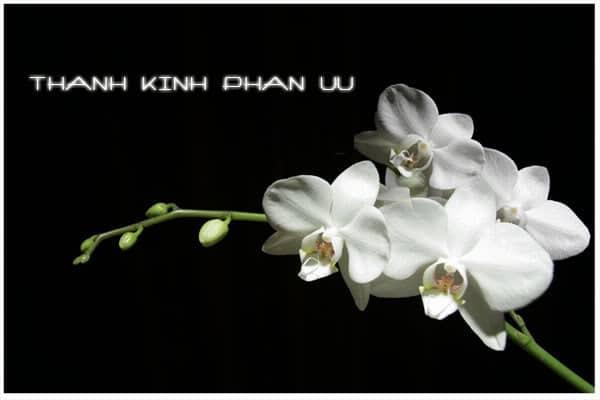 Những lời chúc cho người đã khuất - Hoa Viên Bình An Vĩnh Nghiêm