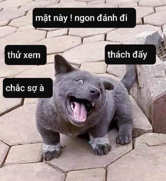 Giải Mã Những **Meme Chém Đầu** Hài Hước Nhất