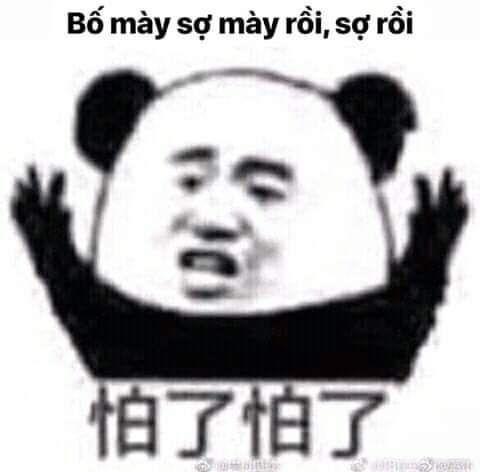 Tổng hợp các meme gấu trúc weibo cực hài hước