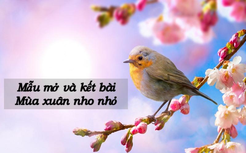 Cách mở và kết bài Mùa xuân nho nhỏ (cơ bản – nâng cao)