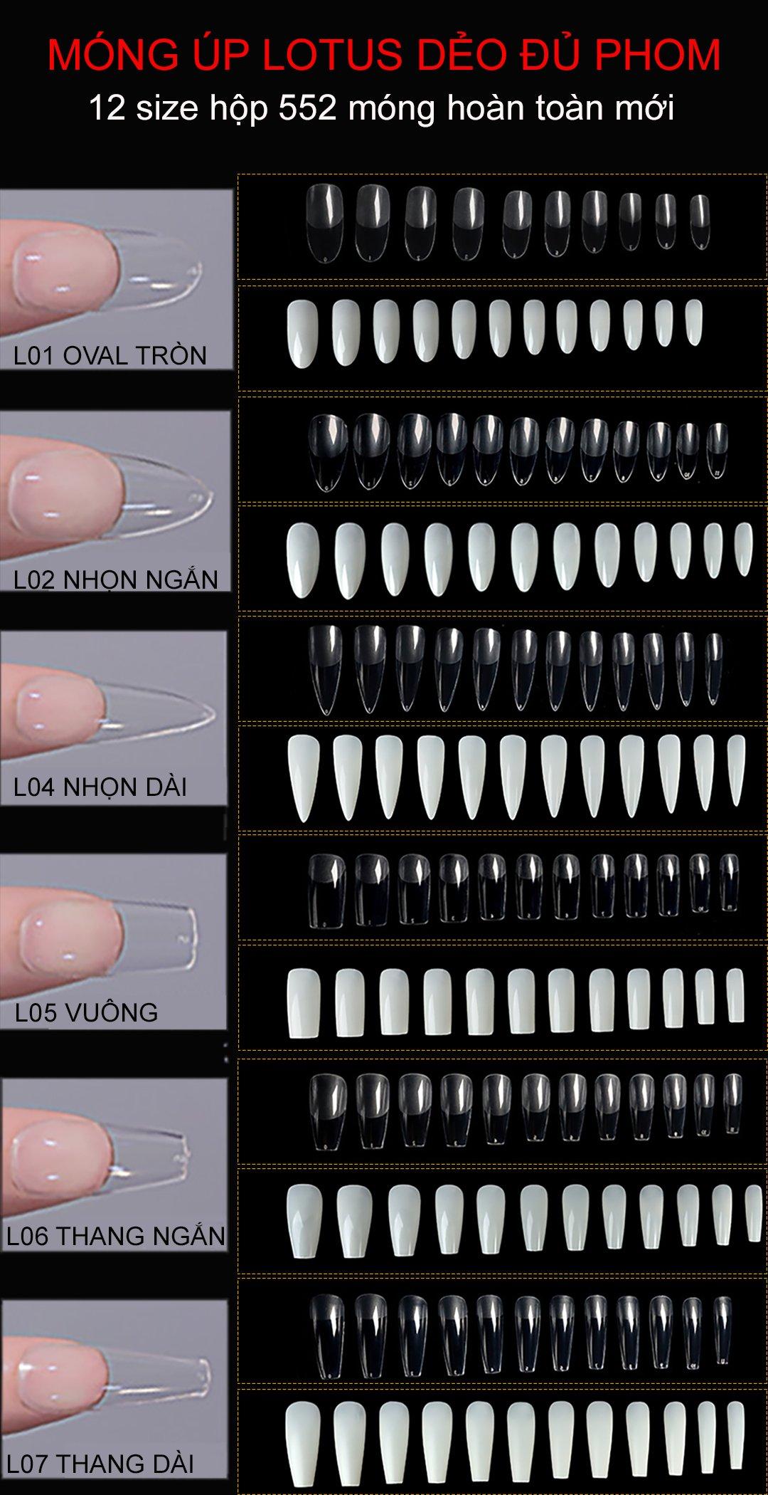 Móng úp TG hộp 552 móng | nailnam