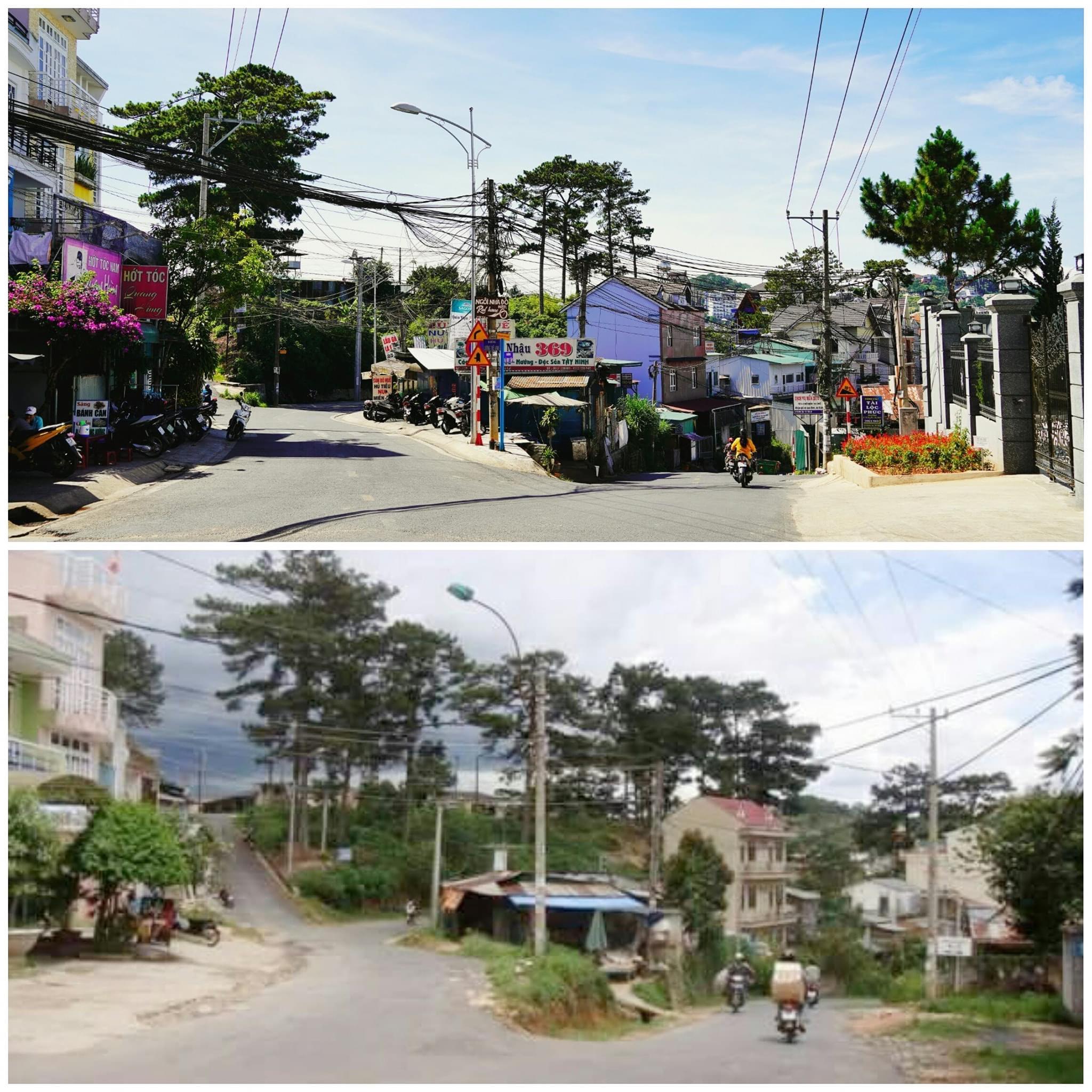 Mực Tím Sơn Đen