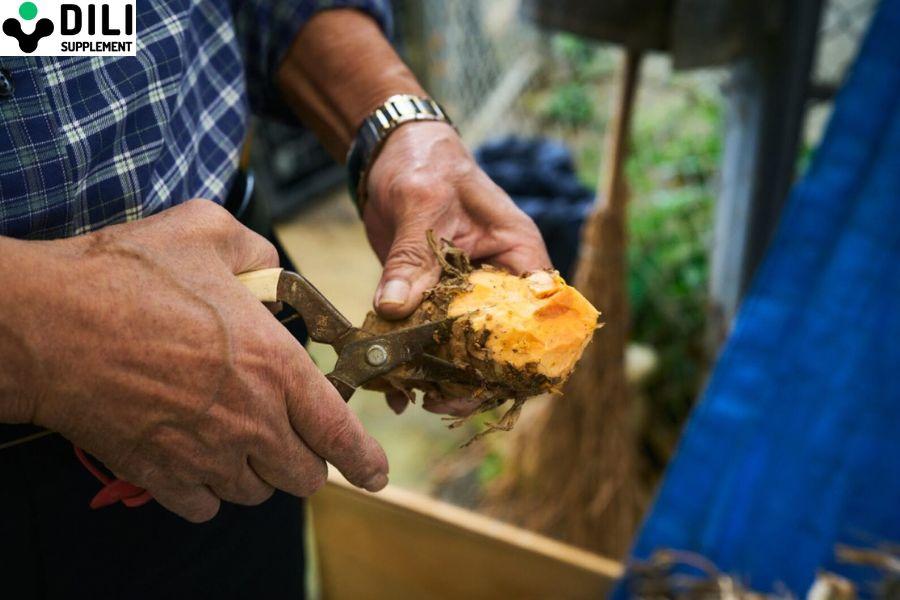 Viên uống giải rượu Huyền thoại DiLi giảm say nguội