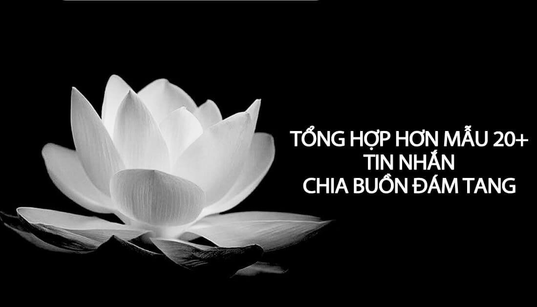 Tổng Hợp Hơn Mẫu 20+ Tin nhắn chia buồn đám tang
