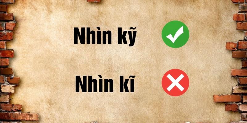Nhìn kỹ hay nhìn kĩ là đúng chính tả tiếng Việt?