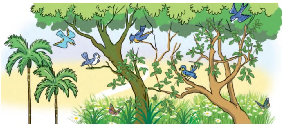 Tuần 22 - Bài văn về bốn mùa - Website của Thân Thị Hoàng Oanh