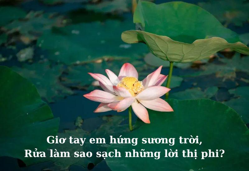 500+ Ca dao về than thân – tình nghĩa chọn lọc hay nhất