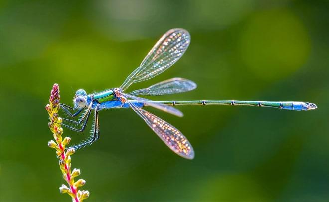 Ca dao tục ngữ Việt Nam nói về thời tiết, thiên tai