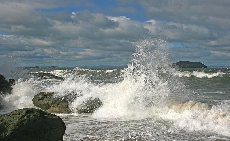 Hải ngọc's Weblog