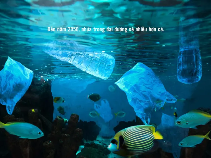 Những câu nói về ô nhiễm môi trường