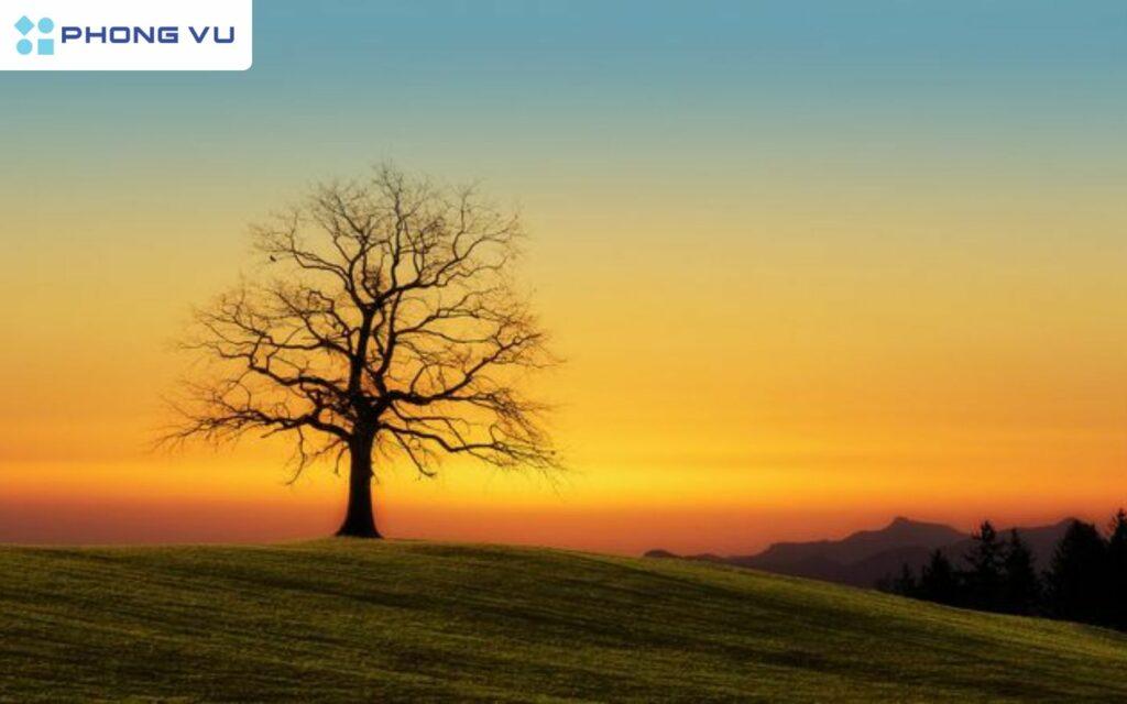 Tổng hợp những bài thơ hay về cuộc sống vui vẻ, giản dị, an nhiên