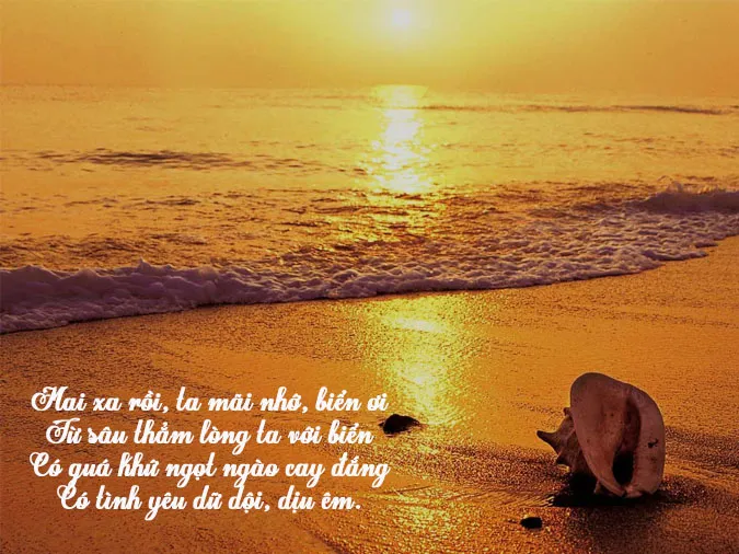 Những bài thơ hay về biển đong đầy nhiều cảm xúc