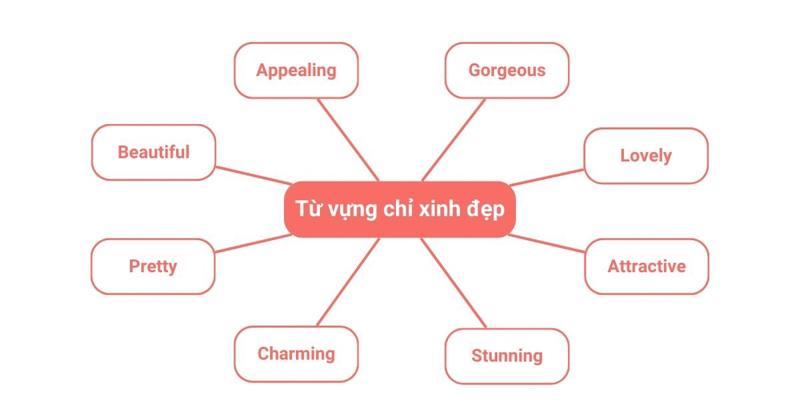 Những từ chỉ sự xinh đẹp trong tiếng Anh và hướng dẫn cách dùng