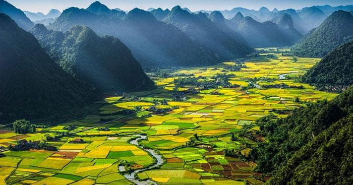 Văn mẫu lớp 12: Phân tích Đất Nước (Sơ đồ tư duy)                                   4 Dàn ý & 29 bài phân tích Đất Nước