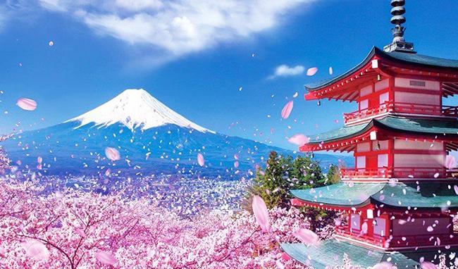 Đoạn văn (khoảng 150 chữ) trình bày về điều bạn cảm thấy thú vị nhất ở thể thơ hai-cư