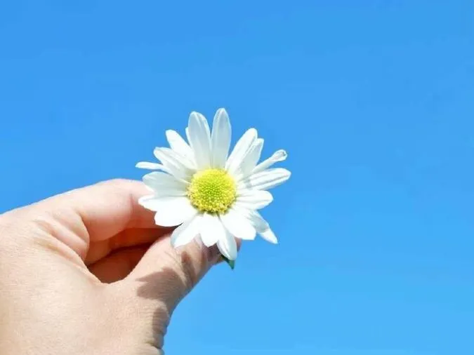 Cap an nhiên tự tại hay, status an yên trong cuộc sống