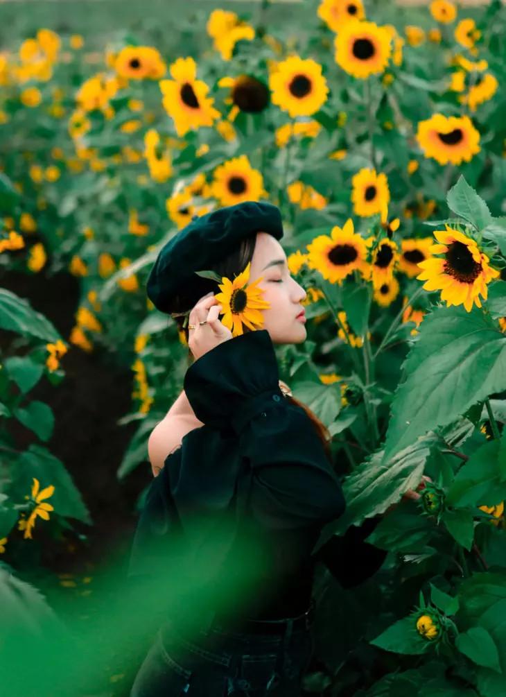 Tổng Hợp STT Đà Lạt Hay Nhất: Caption Đăng Ảnh Sống Ảo Không Lo Hết Ý Tưởng