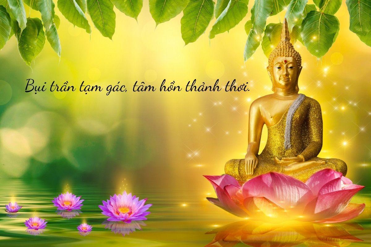 99+ STT đi chùa hay, thanh tịnh tâm hồn, cầu bình an, tình duyên, tài lộc mới 2026