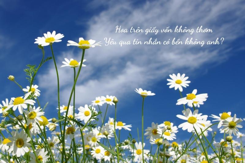 499+ stt thả thính về hoa ngọt ngào, lãng mạn và độc đáo