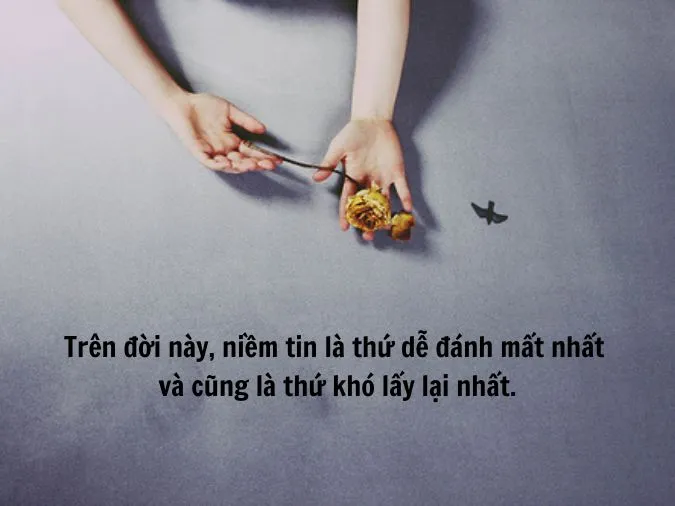 status mất niềm tin 1