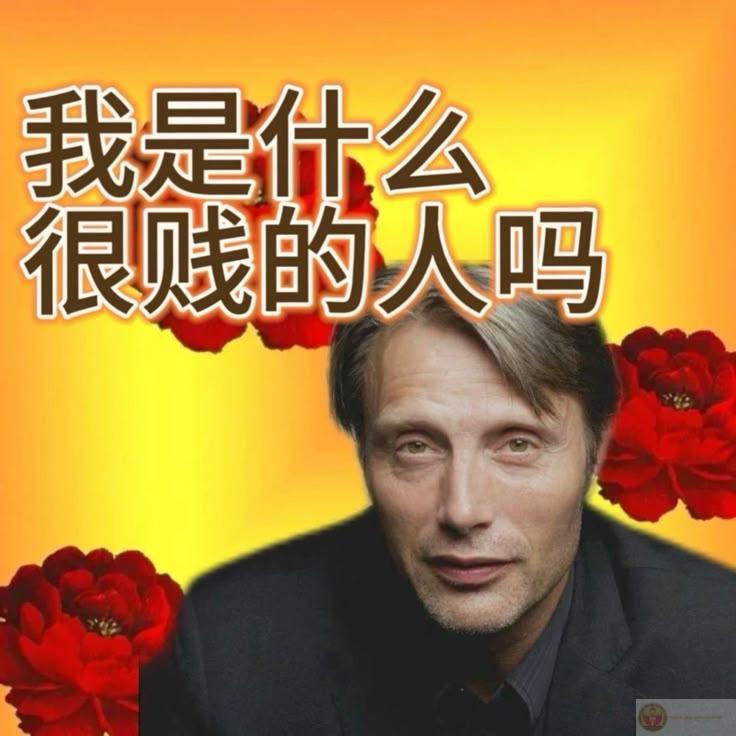 Tao không thèm chấp, vì chấp làm gì cho mỏi não