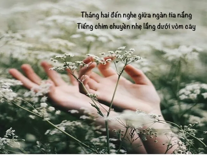 Sưu tầm những bài thơ tháng 2 lãng mạn và cảm xúc nhất 1