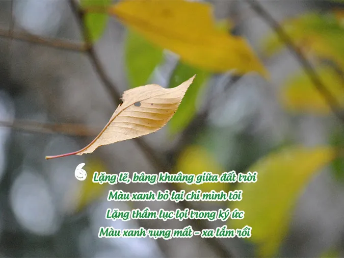 21 bài thơ về màu xanh hay ẩn chứa hy vọng về cuộc sống