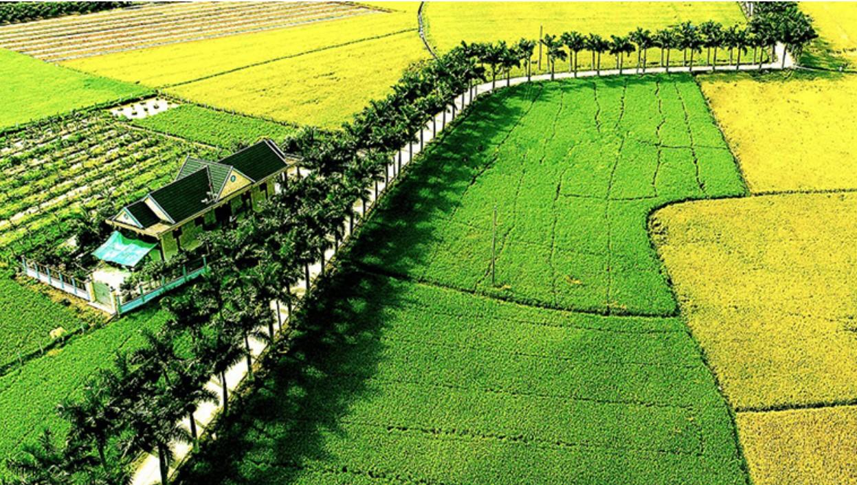 Qua cách gọi “Tỉnh lộ”, “Quốc lộ”, “Ðại lộ”...  rí thông minh trong cách dùng chữ của người Việt