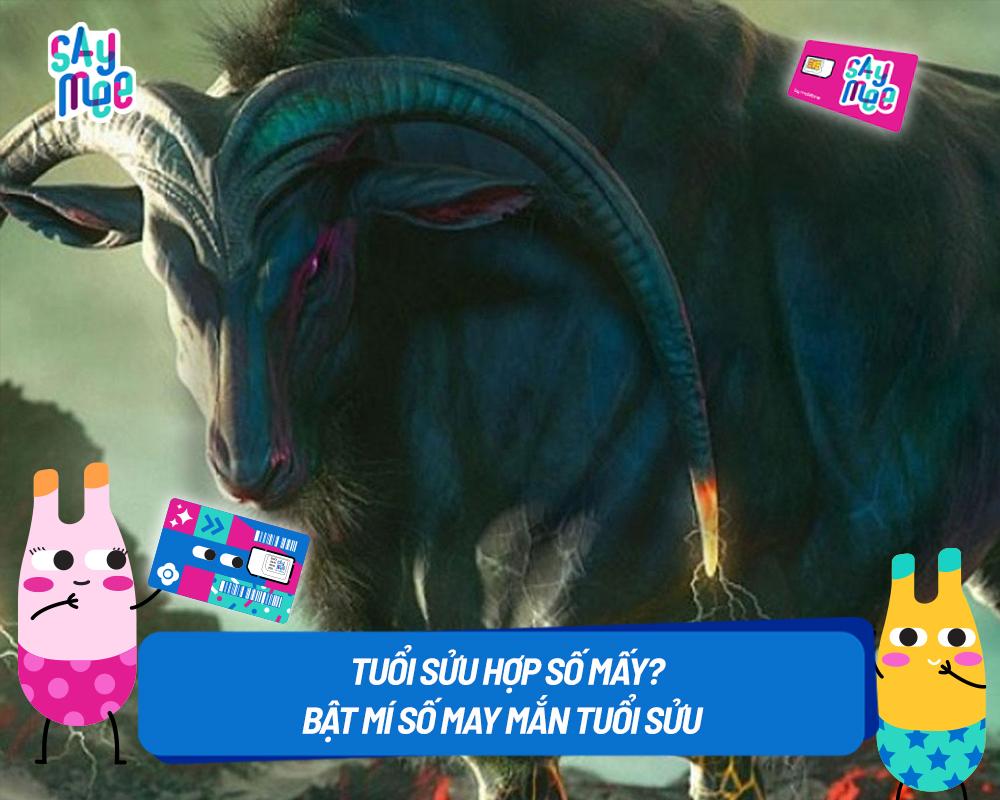 Gói cước MEON Saymee