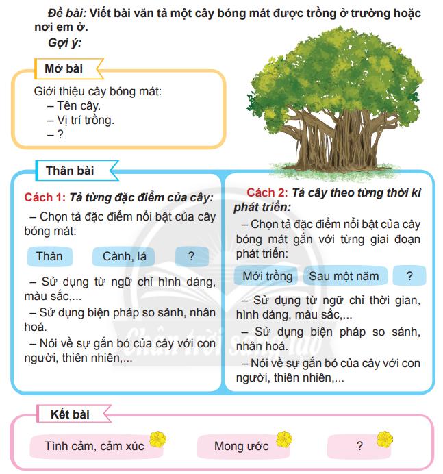 Bài 7: Viết bài văn miêu tả cây cối trang 35 SGK Tiếng Việt 4 tập 2 Chân trời sáng tạo