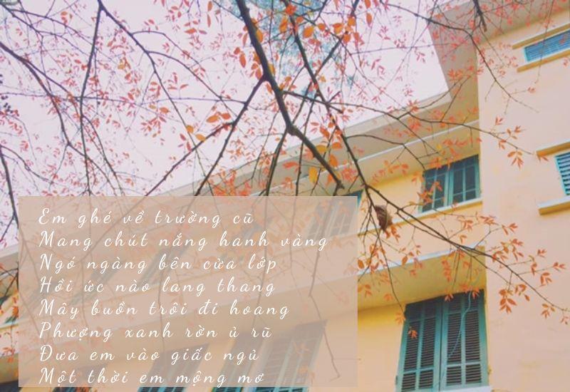 List bài thơ về trường học, mái trường cũ hay nhất đầy kỉ niệm đẹp