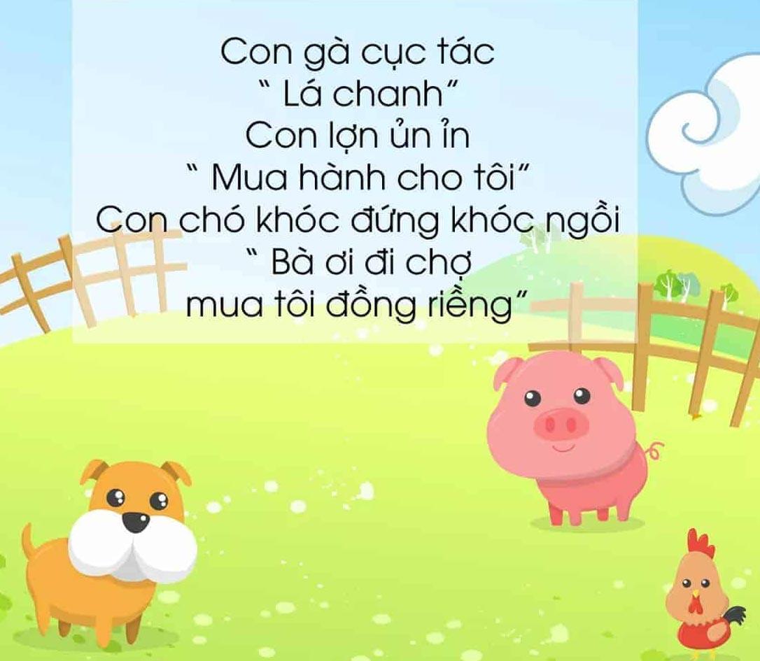 MẦM NON HỢP ĐỨC