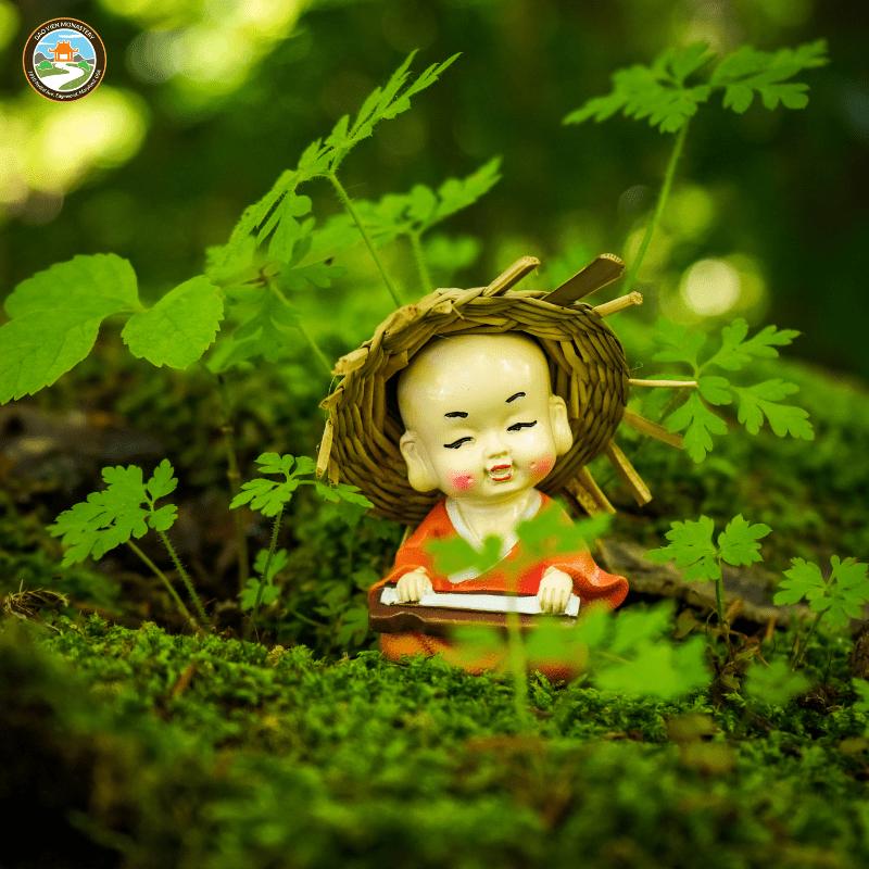 Luật Nhân Quả trong Đạo Phật: Hiểu và Áp Dụng trong Cuộc Sống