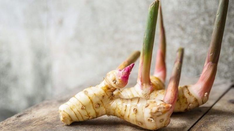 Củ riềng: 8 tác dụng, cách dùng, lưu ý khi sử dụng