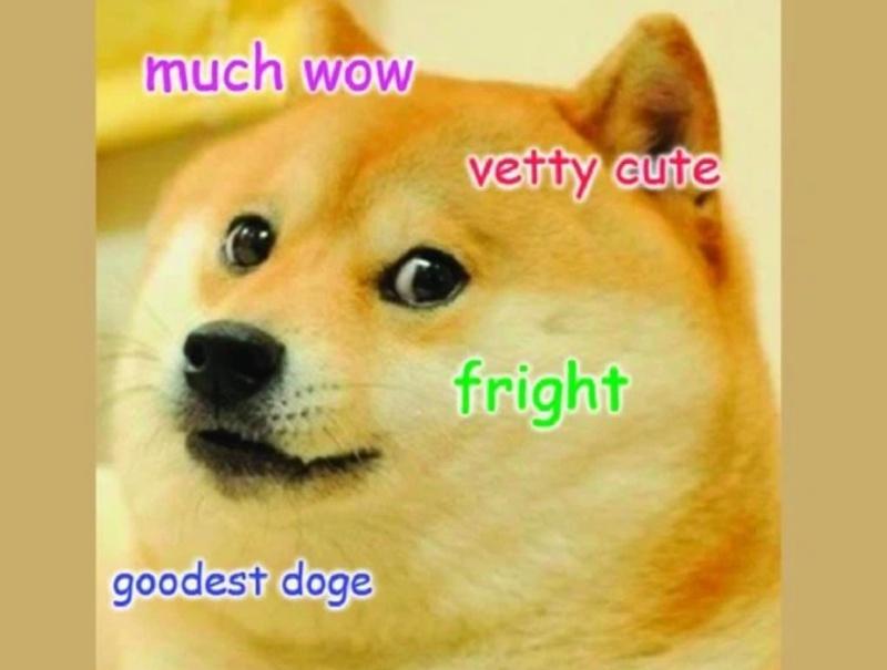 Khám phá 101 ảnh meme chó cute hài hước cười đứt ruột