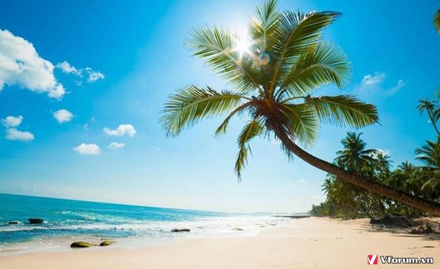 Những bài thơ hay về mùa hè