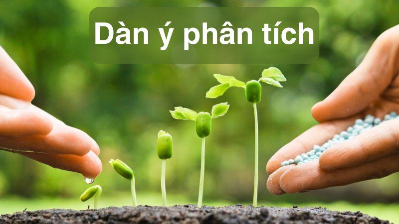 Phân tích Lời của cây (Trần Hữu Thung) văn 7, Chân trời sáng tạo