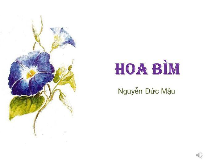 Soạn bài Hoa bìm| Văn 6 chân trời sáng tạo
