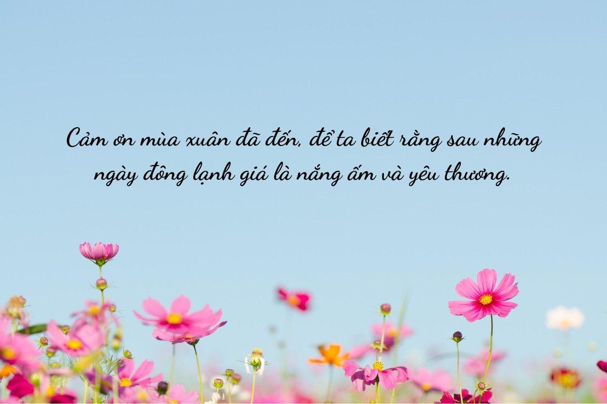 1001+ STT mùa xuân, câu nói hay về mùa xuân ý nghĩa, truyền cảm hứng và hy vọng