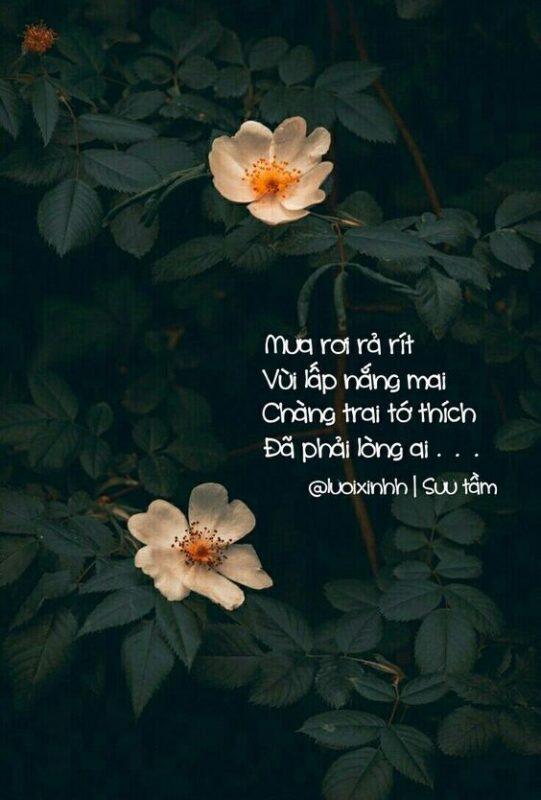 Stt Về Mưa Thả Thính: 199+ Câu Hay Nhất Đốn Tim Người Ấy