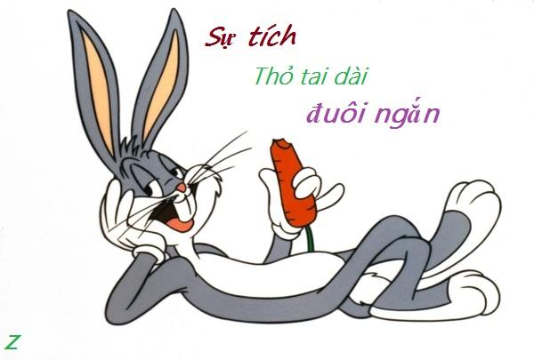 TRƯỜNG TIỂU HỌC ĐỐNG ĐA