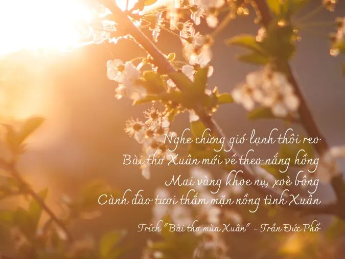 Top 20 bài thơ tháng 1 lãng mạn, đong đầy cảm xúc lúc giao mùa