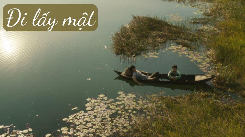 Soạn bài Đi lấy mật Kết nối tri thức đầy đủ