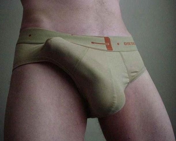 hình ảnh dương vật thật