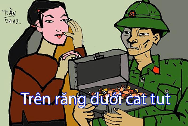 Trên răng dưới cát tút là gì?